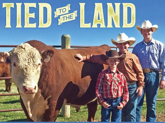 Brothers Parker (from left), Walker and Tucker stand with one of the seed stock cattle bred at Guy Brothers Farms. Guy Brothers Farms photo 