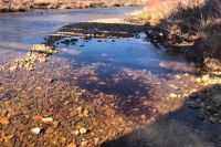 Mill receives water quality violation