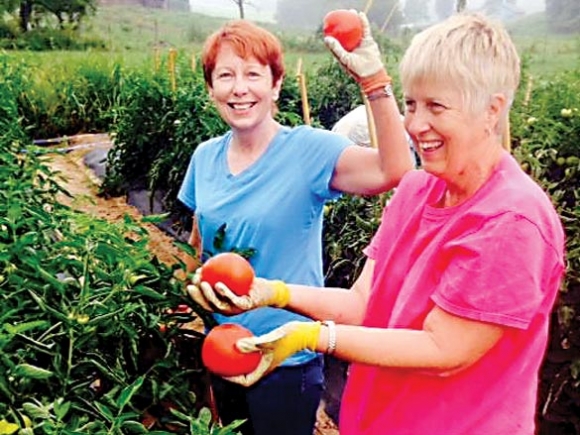 Get your gleaning on