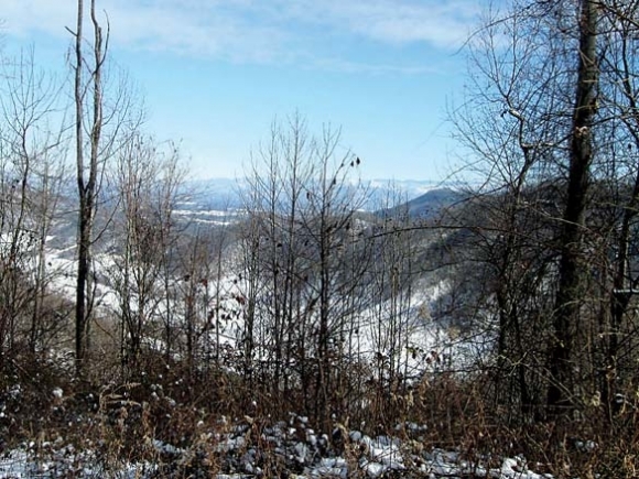 Land protected at Sandy Mush