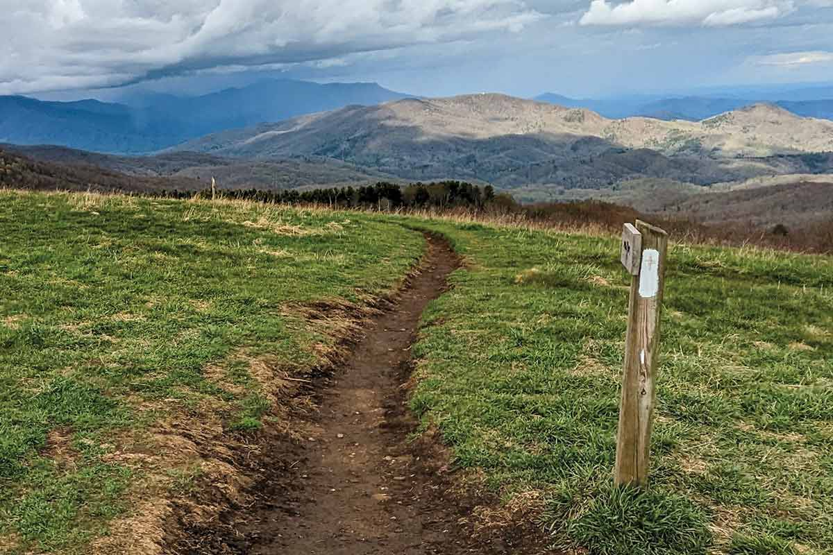 The Appalachian Trail stretches out toward the view at Max Patch. Holly Kays photo
