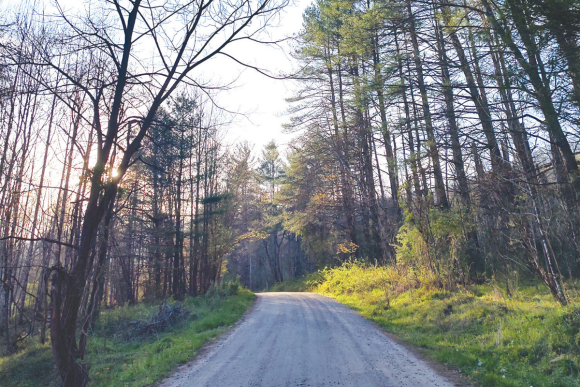 Cold Springs Creek Road. Garret K. Woodward photo