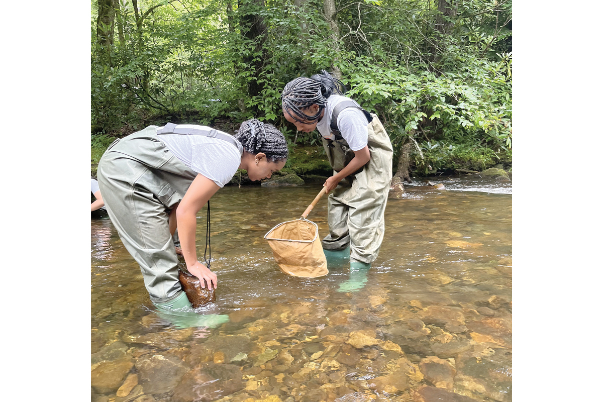 Participants in Asheville GreenWorks’ Youth Environmental Leadership Program look for aquatic creatures.  Asheville Greenworks photo