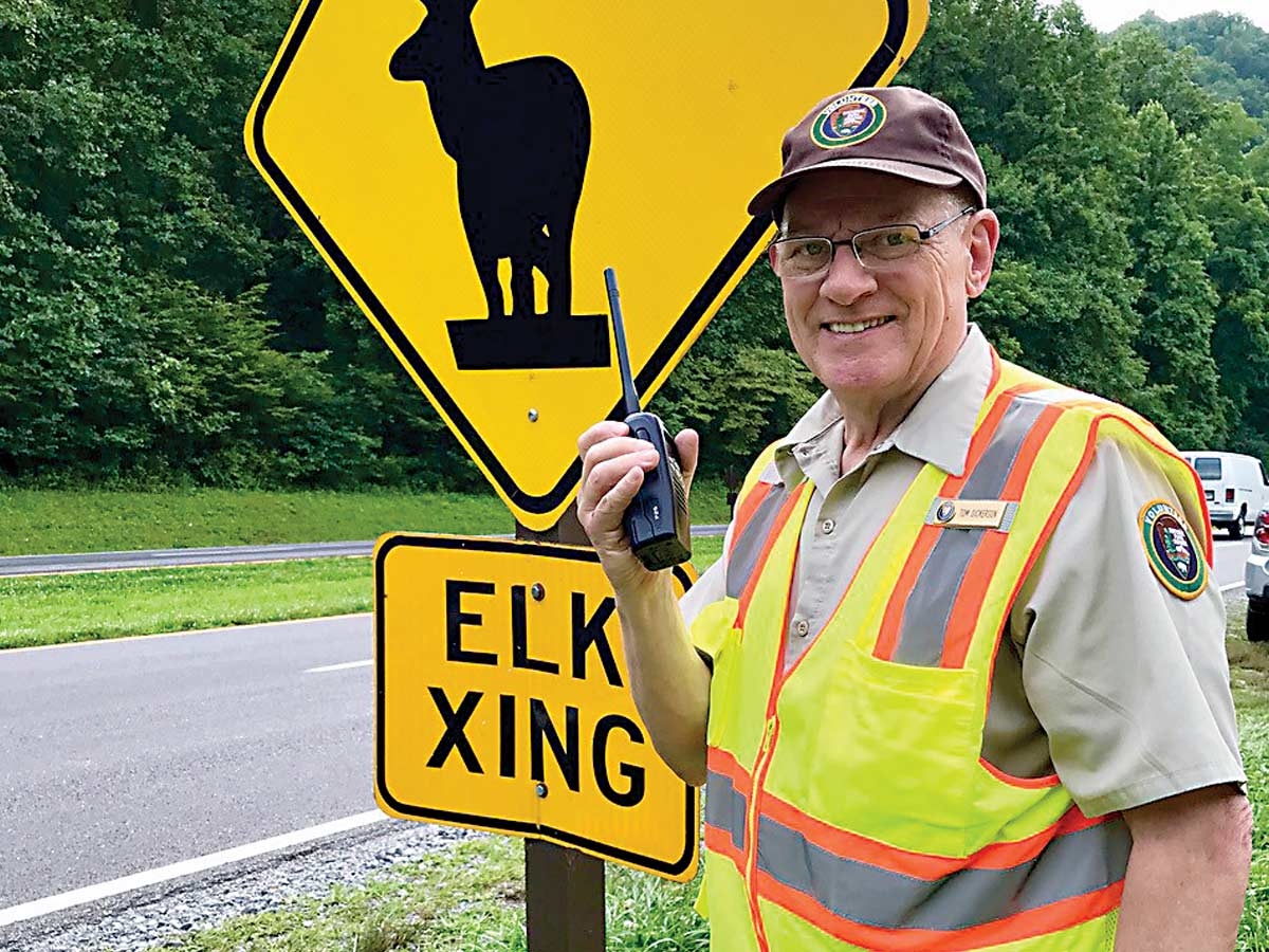 Luftee Rover Tom Dickerson is one of 70 volunteers who helped manage elk viewing in 2020. NPS photo