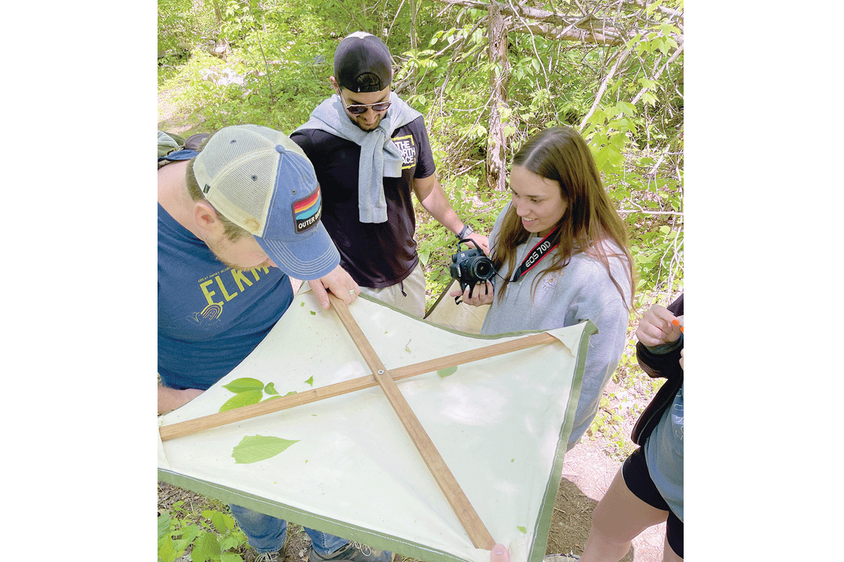 Volunteers look for specimens using a “beating sheet.” Jaimie Matzko photo