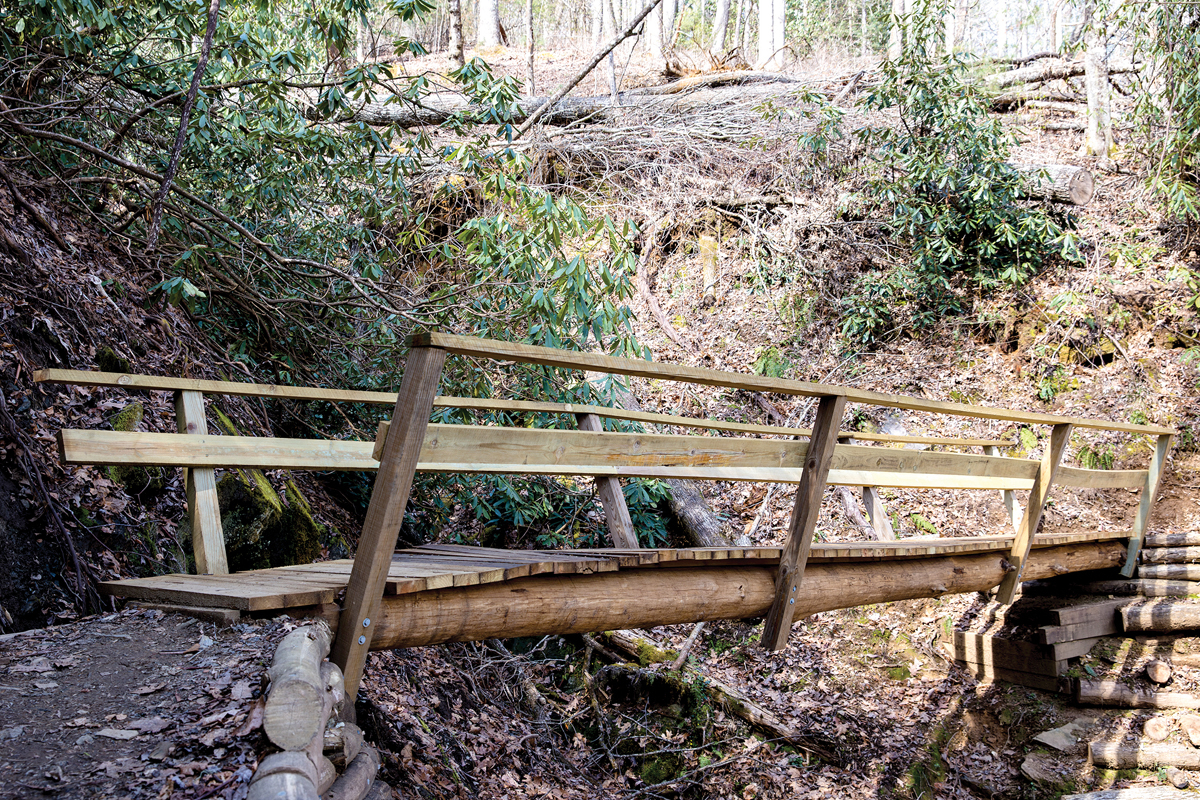 Pisgah Conservancy expands Helene recovery efforts