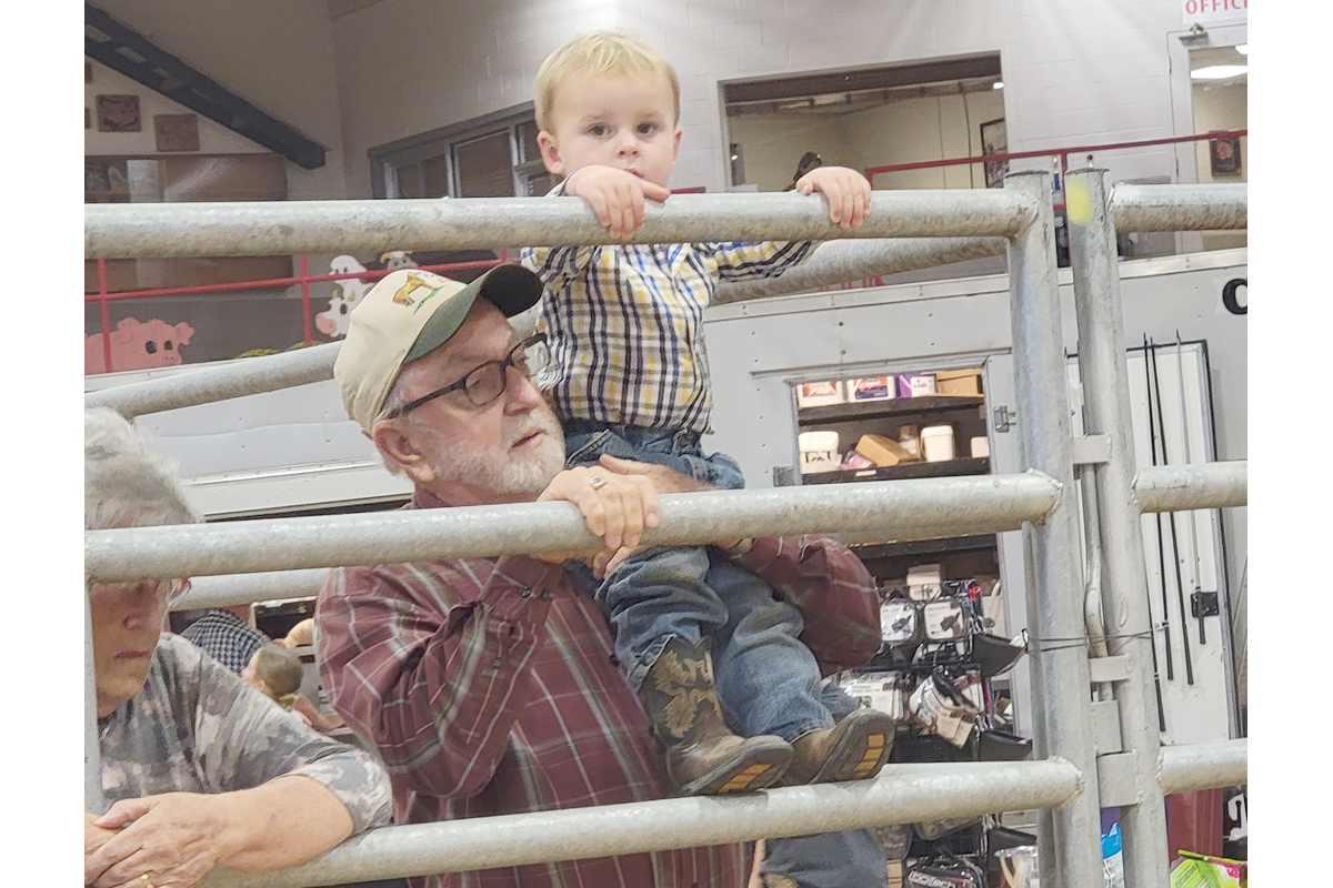 Buddy Cochran boosts his great-grandson Corbin Smith, 2, for a better look at the livestock show during the 2023 N.C. Mountain State Fair. Donated photo 