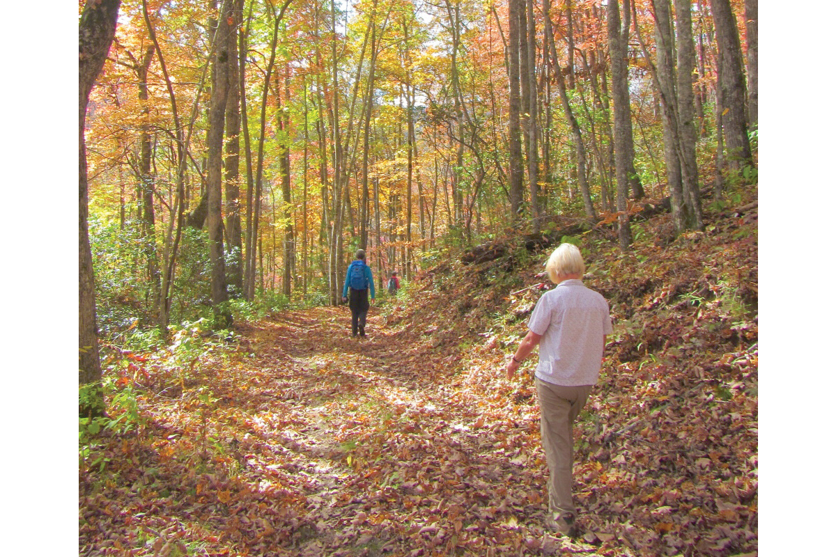 Hikers walk the  Waynesville Watershed. HWA photo