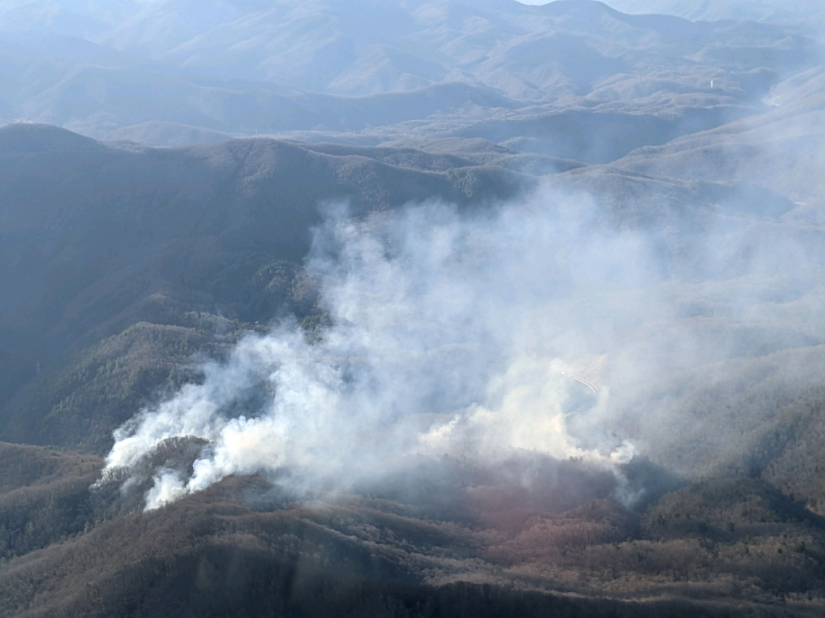 Hurricane Ridge fire as seen by air on Nov. 24