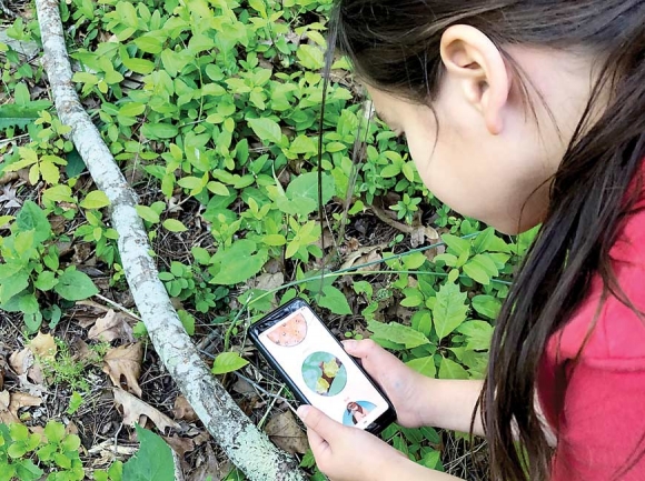 A young explorer uses her smartphone to learn more about the woods in her backyard. Donated photo