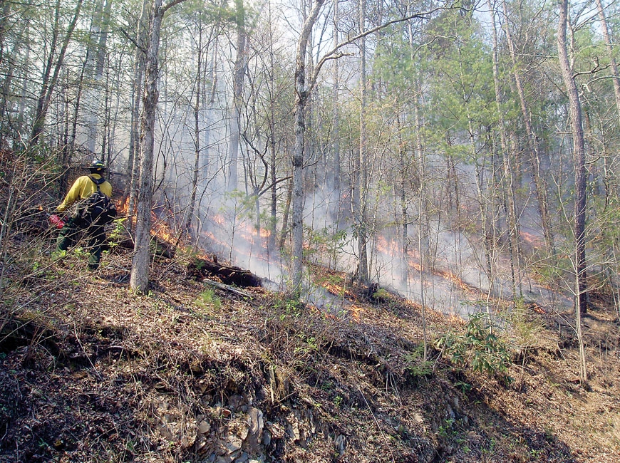Firefighters conduct a prescribed burn on the area in 2009. NPS photo