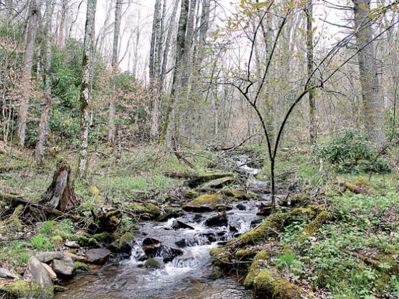 Indian Creek runs through the William H. Silver Game Land. The Conservation Fund photo