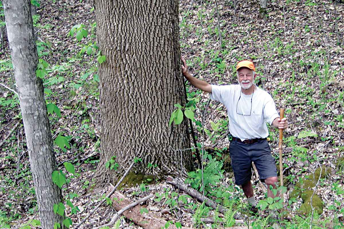 Burt Kornegay stands beside the big white ash the year before invasive emerald ash borers killed it. Becky Kornegay photo 