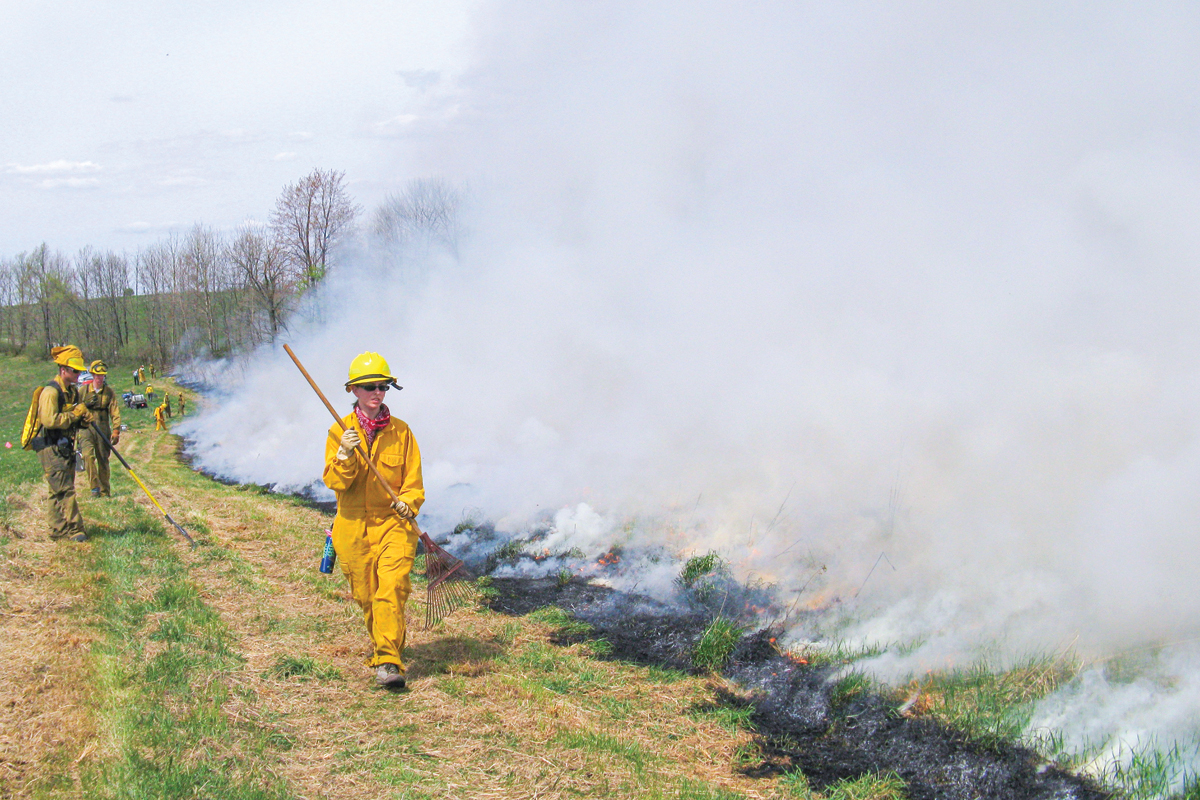 Smokies plans prescribed burns