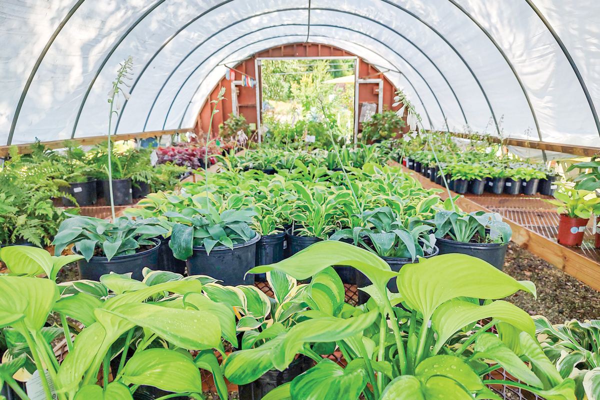 Located in Franklin, the Winding Stair Farm &amp; Nursery is home to a bevy of native plants and seemingly whatever else one might need for their homes, gardens and/or landscaping needs. Garret K. Woodward photos