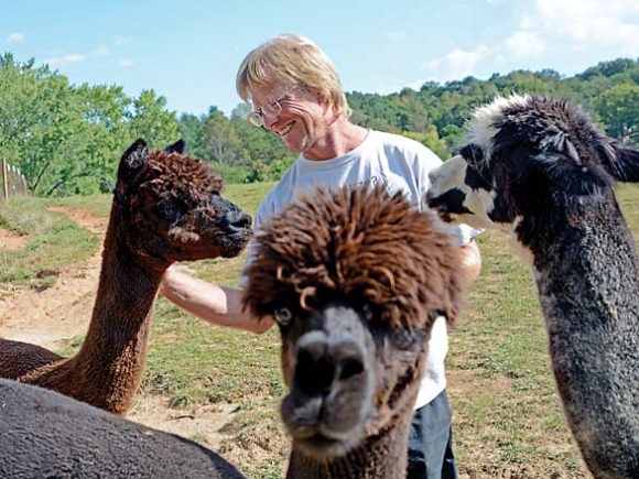 Livestock you love: Bethel man carves out a life among alpacas