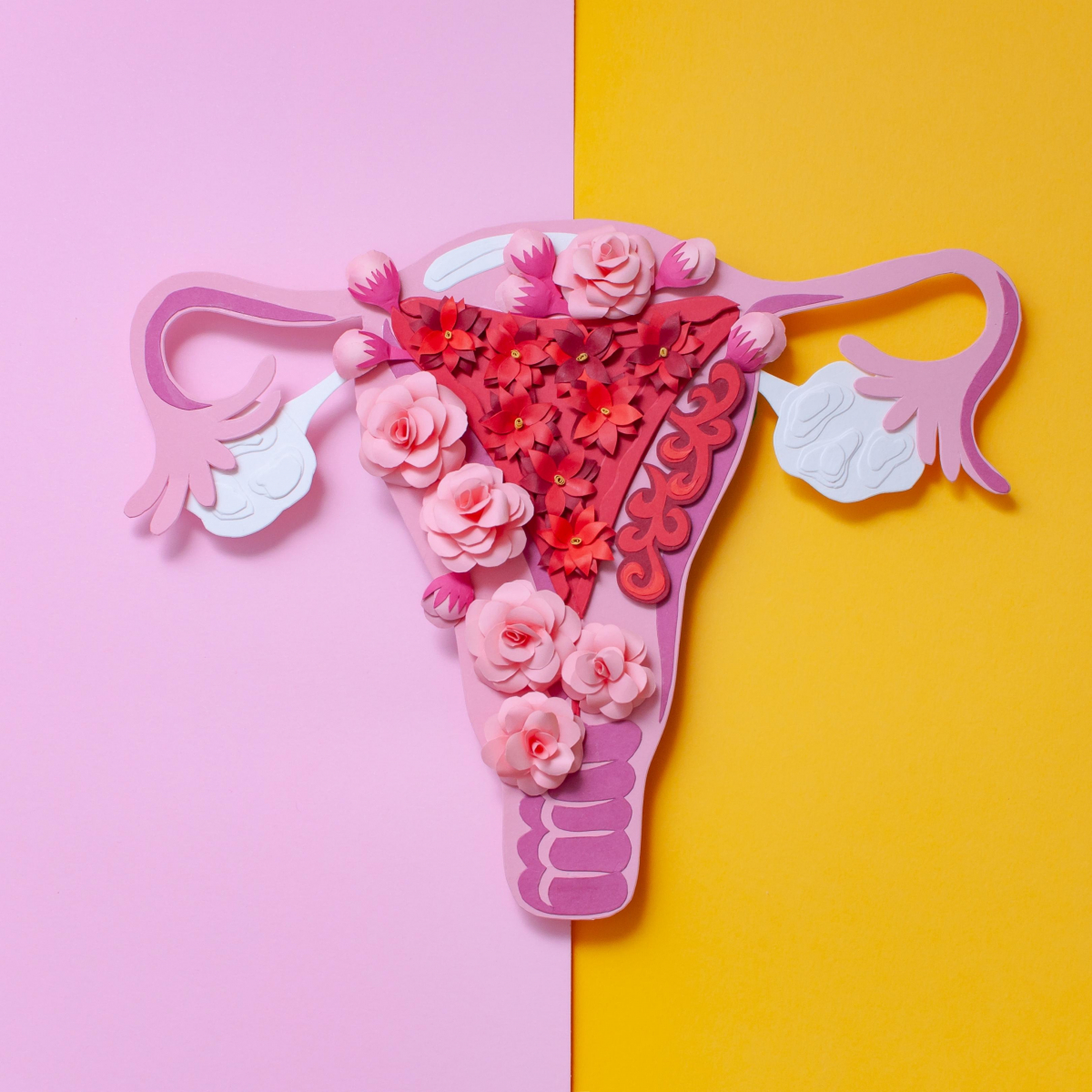 A History of The Uterus