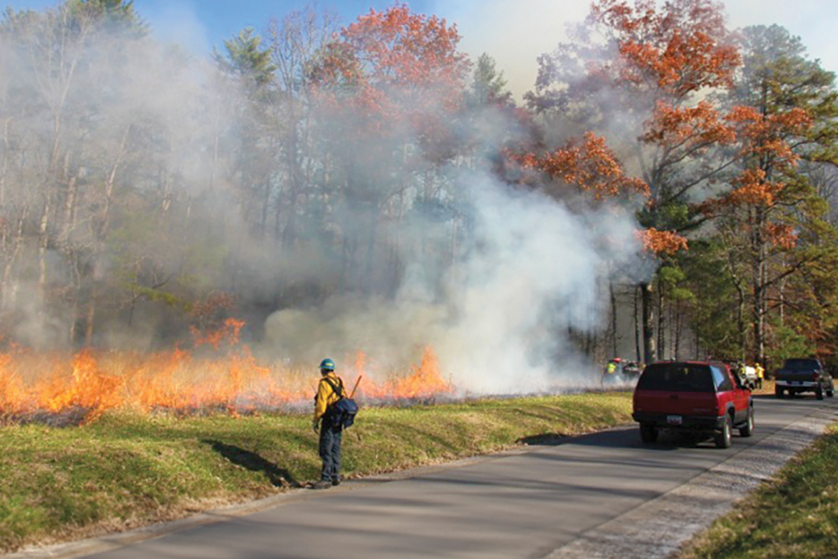 Staff conduct a prescribed burn in the Cades Cove area. NPS photo 