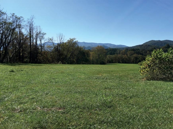 Currently planted as a fescue hayfield, the land borders the Little Tennessee River and could be restored as important early successional habitat. Donated photo