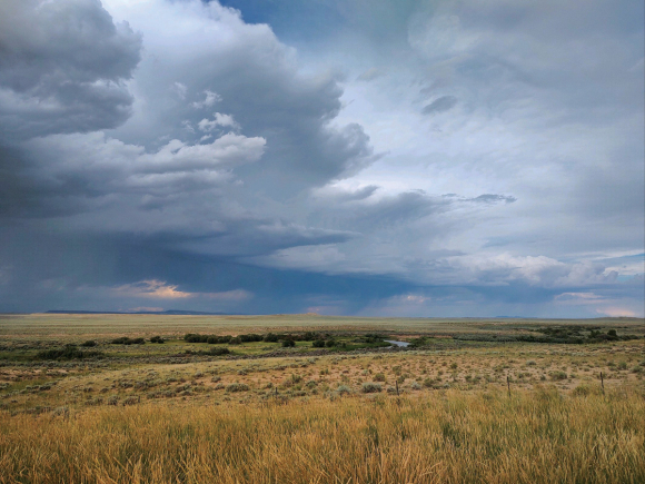 Wyoming is the least-populated state in America. Garret K. Woodward photo