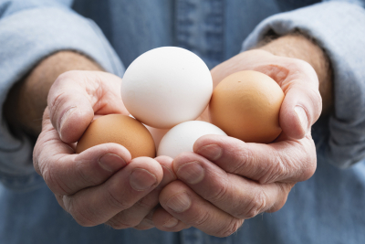 Sponsored: Brown eggs vs. white eggs, any difference?