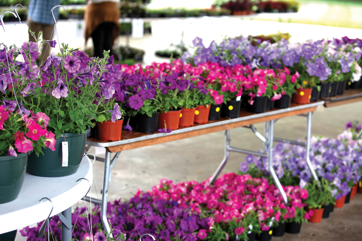 Plants can be purchased with cash, check or card.