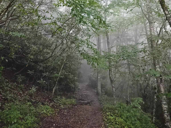 Trailhead of Fork Ridge Overlook. (photo: Garret K. Woodward)