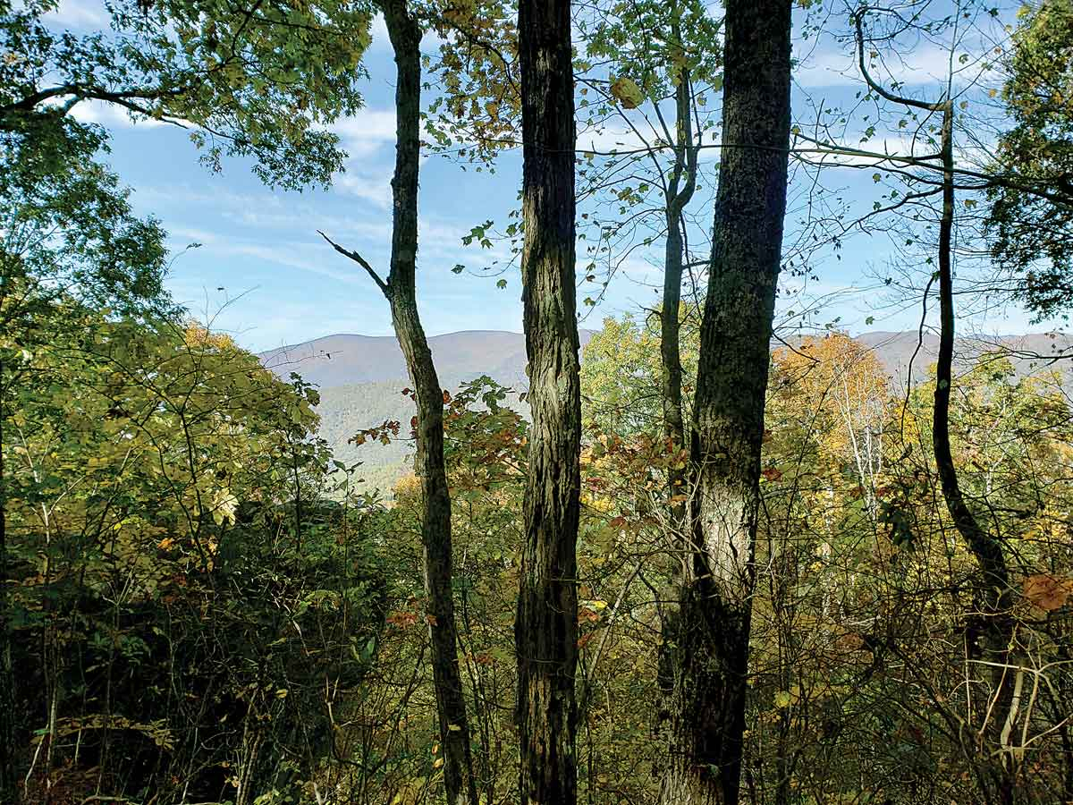 An autumn view extends from Lookout Rock on the Benton MacKaye Trail. BMTA photo