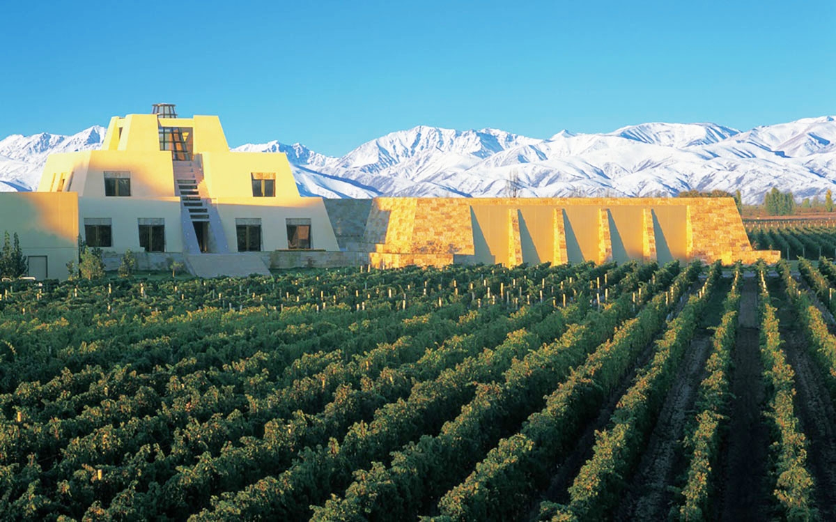 Experience World-Class Argentina Culinary Wine Tour