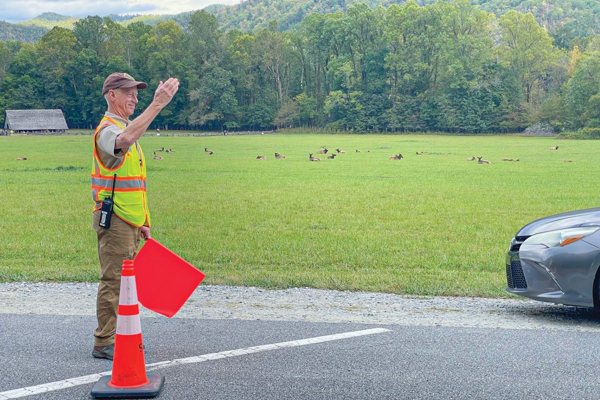 Volunteers will assist with traffic management and guiding visitors.