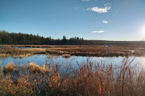 A view of the North Country. (Garret K. Woodward photo)