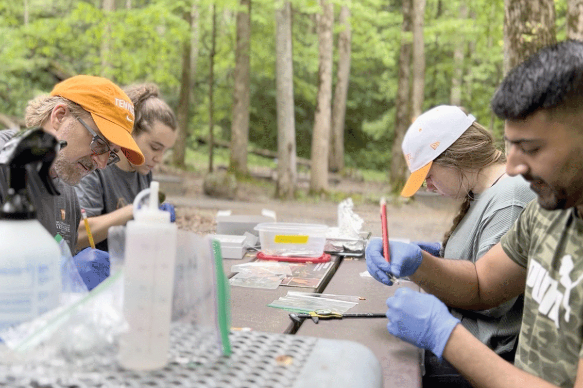 Dr. Matthew Gray (left) and his students enrolled at the University of Tennessee, Knoxville commandeer a picnic table to conduct salamander sampling  in the Great Smoky Mountains National Park. NPS photo