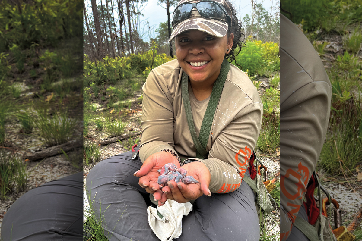 Learn about woodpecker conservation in Highlands