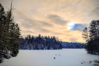 This must be the place: ‘One day I will find the right words, and they will be simple’