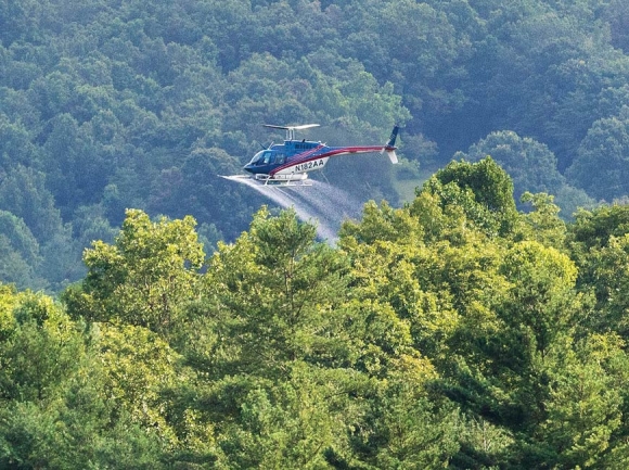 A helicopter administers herbicide along a transmission line running up the Cowee Mountains. Donated photo