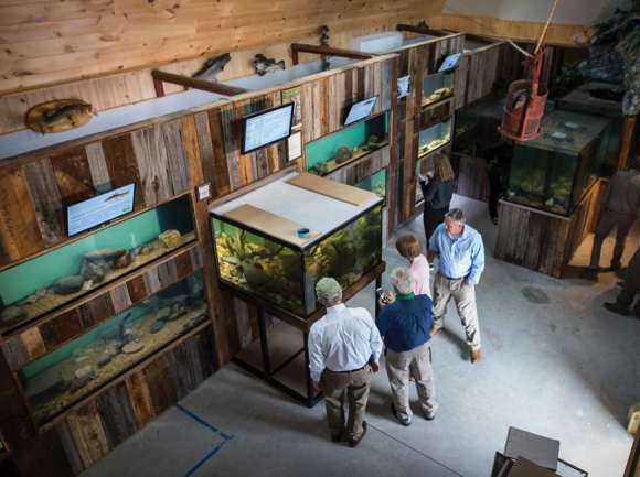 The Swain County Tourism Development Authority is proposing an expansion to the Appalachian Rivers Aquarium that just opened its doors last summer. File photo
