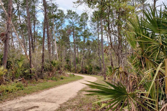 Graham Swamp Trail, Florida. Garret K. Woodward photo