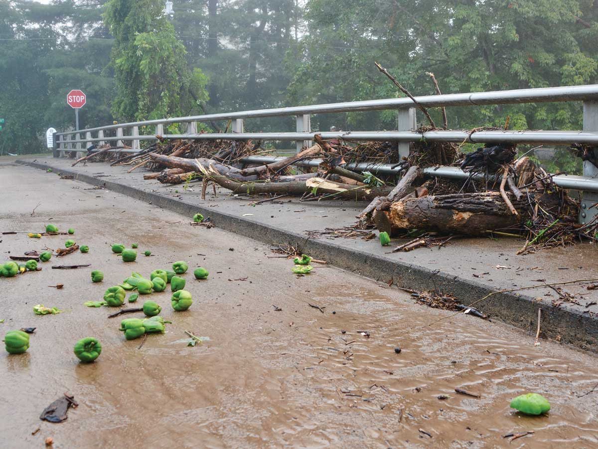 Help available for Tropical Storm Fred losses