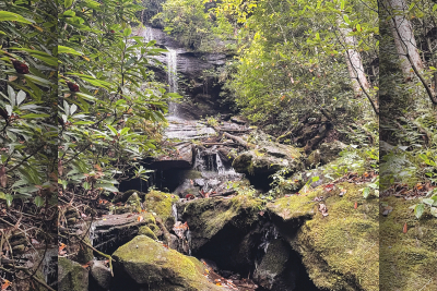 WNC research forests avoid the axe: What the U.S. Forest Service’s restructuring means for WNC