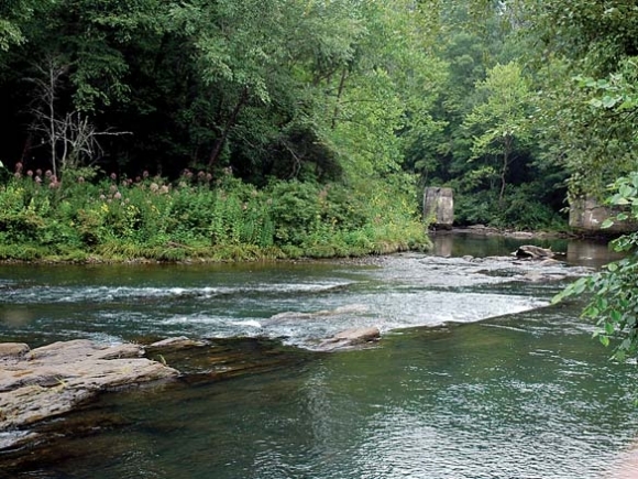 Fires Creek conservation project still needs $25,000