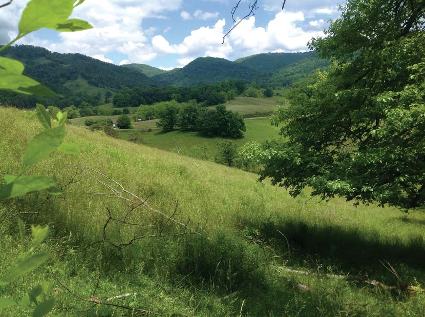 Rolling hills and forested mountains characterize the Rogers Cove land that Terry Rogers has farmed his whole life.  Southern Appalachian Highlands Conservancy photo