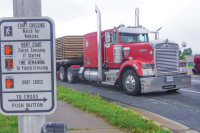 Up Moses Creek: Oil Change