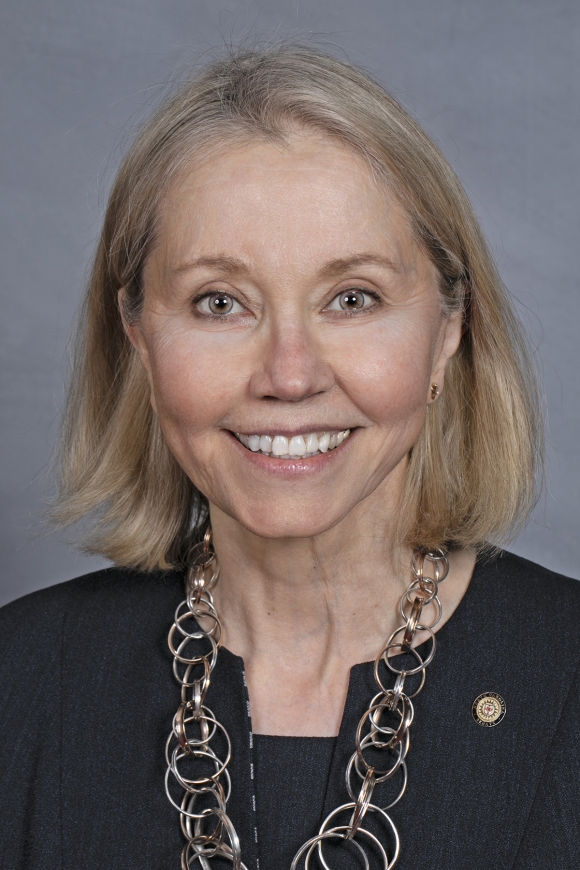 Terry Van Duyn has served three terms in the Senate. 