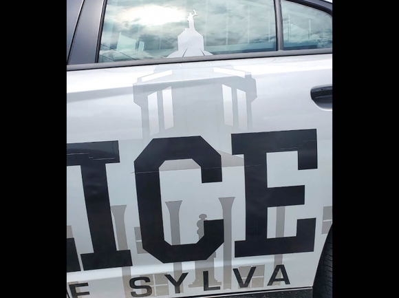 Sizing the force: Sylva debates police staffing needs