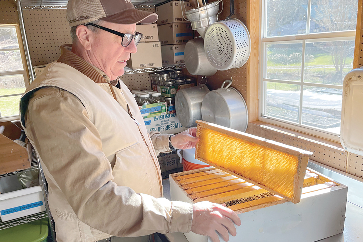 Smoky Mountain Beekeepers Association President Fred Crawford shows how bees build cells in a hive. Kyle Perrotti photo