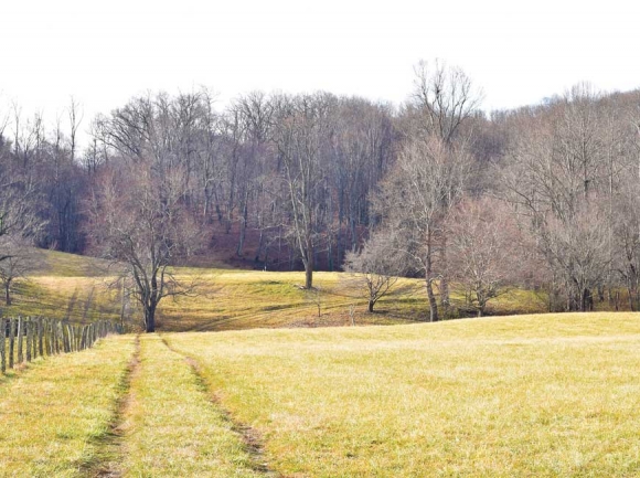 More than 200 apartments are currently planned for this 41-acre parcel off Hyatt Creek Road. Cory Vaillancourt photo