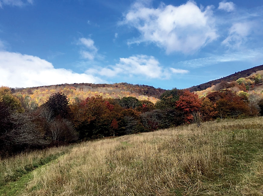 The Roan Mountain Gateway provides beautiful views of the iconic area. USFS/Dan Belanger photo