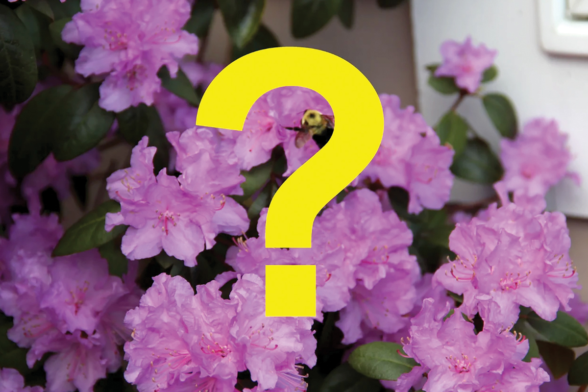 Master Gardeners are available to answer any questions.