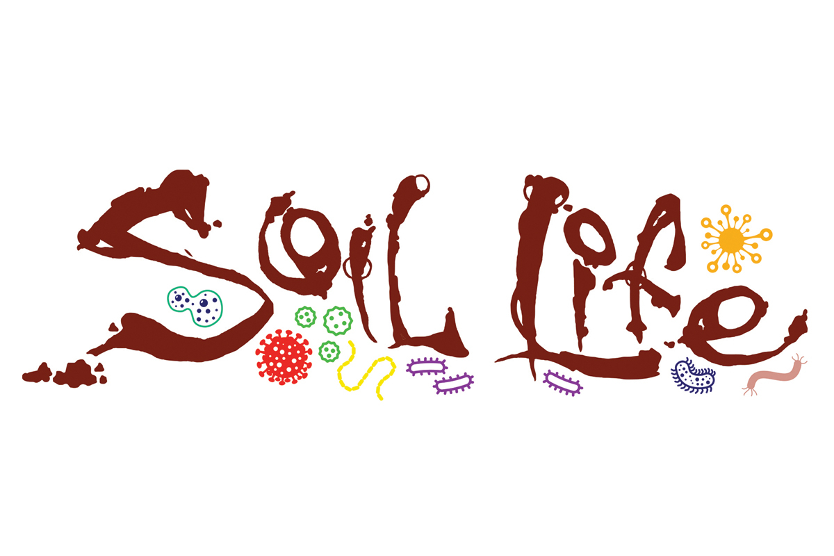 frequently enlist the assistance of microbial organisms to help their growth and life. 