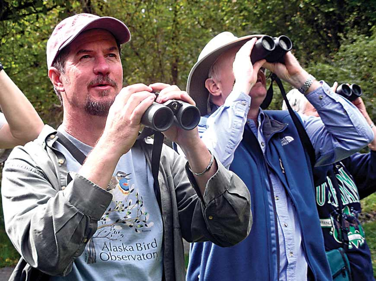 Go birding